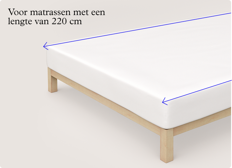 Premium Spannbettlaken